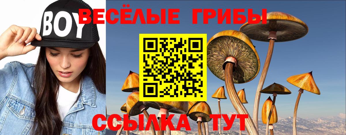 Галлюциногенные грибы мухоморы  Вход с VPN  Сунжа 